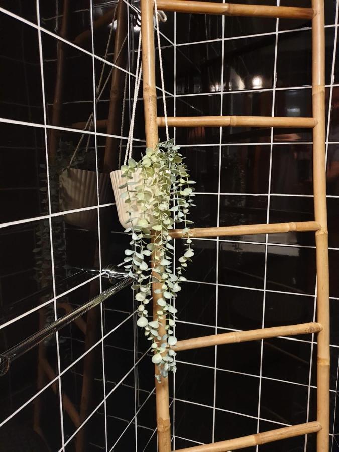 Vivenda Oliveira - Alojamento Local Lamego Kültér fotó